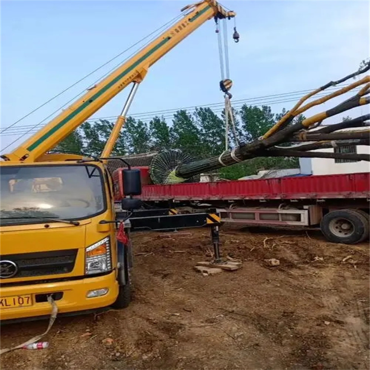 当阳100吨吊车租赁费用怎么算？3大关键因素+省钱技巧全解析